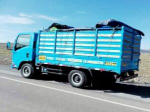 camión celeste listo para mudanzas para provincias